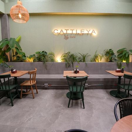 Apartamentos Housy Laureles เมเดยิน ภายนอก รูปภาพ